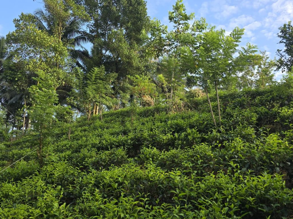 whatsapp image 2026 01 07 at 23.00.14