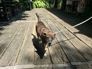 img 20260419 wa0046