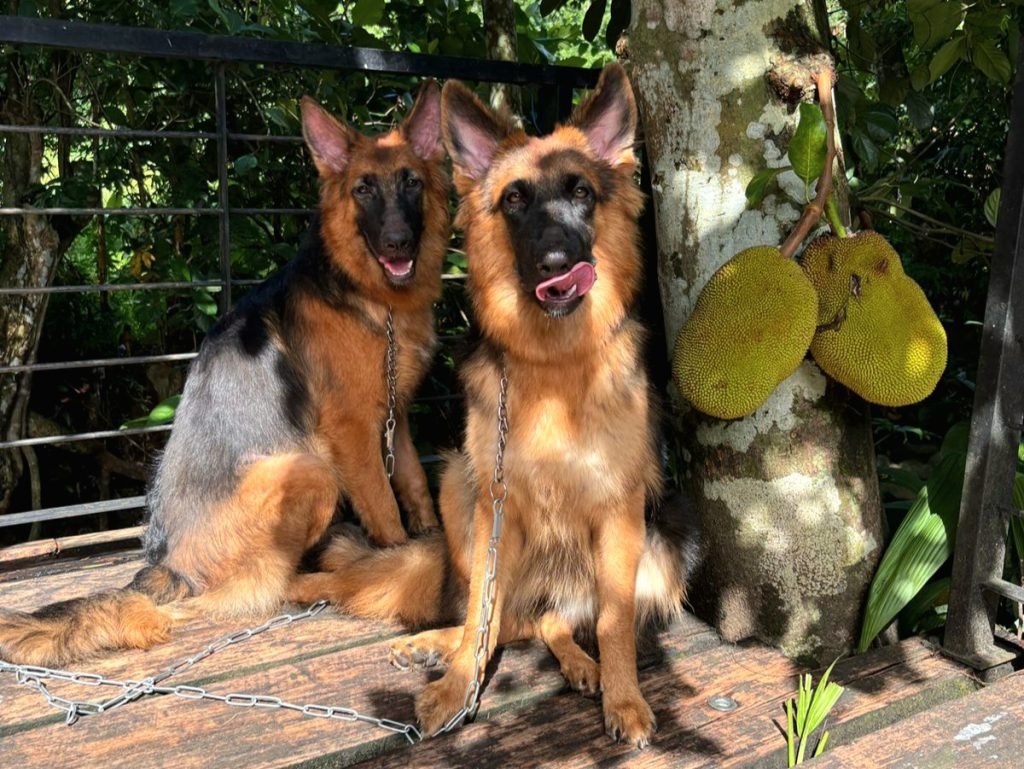 KiaRa & TiaRa's First Visit